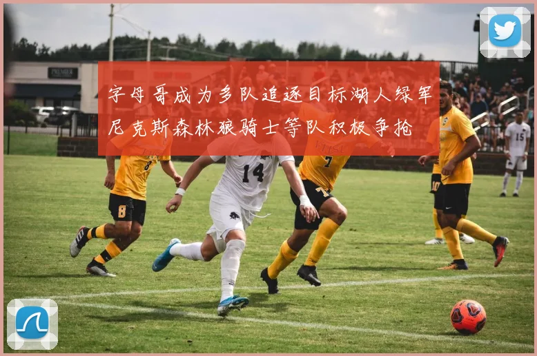 字母哥成为多队追逐目标湖人绿军尼克斯森林狼骑士等队积极争抢